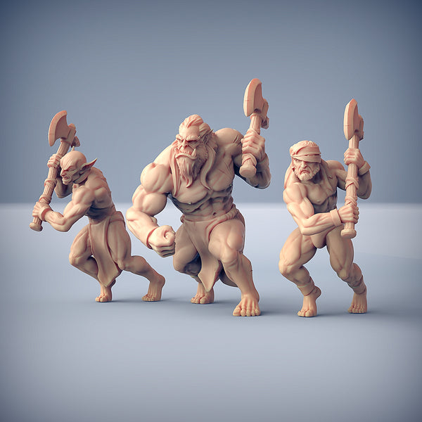 Elfo oscuro inquisitore - Ashen Alfar Inquisitor - Eroe: Valykka con Carrozza e sottoposti- XL - 3DSpawn