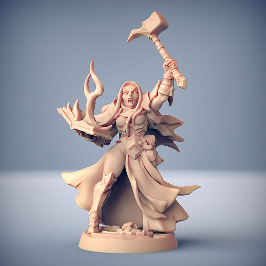 Elfo oscuro inquisitore - Ashen Alfar Inquisitor - Eroe: Talya - S - 3DSpawn