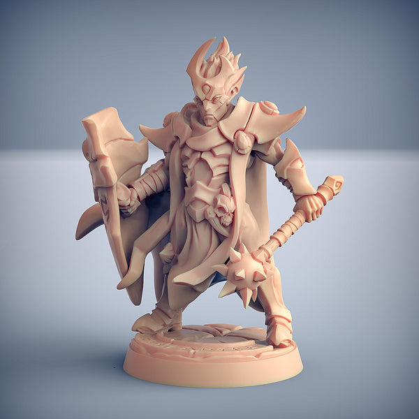 Elfo oscuro inquisitore - Ashen Alfar Inquisitor - Soldier E - S - 3DSpawn