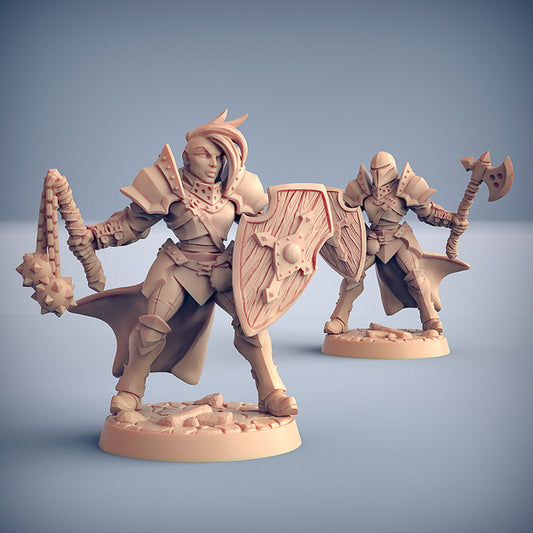 Gilda dei Combattenti - Fighters Guild - Soldier C - S - 3DSpawn